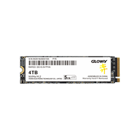 GLOWAY 光威 弈二代系列 NVMe M.2 固态硬盘 4TB（PCIe 4.0x4）