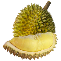 榴鲜生 金枕头榴莲 4-5斤