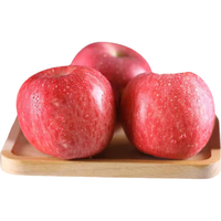 京觅 洛川苹果 单果200-260g 5kg