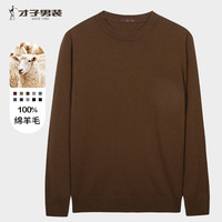 才子（TRIES）【100%纯羊毛】男士毛衣男秋冬圆领修身毛衫轻柔保暖针织打底衫 深啡色 M 46 (165/84A)