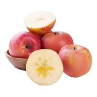 京觅 新疆阿克苏 特级苹果 中果 单果果重160g-200g 12枚