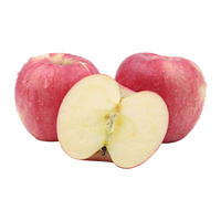 京鲜生 陕西洛川红富士苹果 5斤装  单果200g+ 生鲜水果