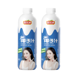 欢乐家 椰子汁大瓶装 果肉型植物蛋白饮料 椰奶椰汁 宴席聚餐饮品整箱 椰子汁1L*2瓶