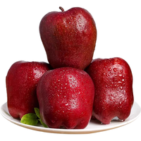 京觅甘肃天水花牛苹果 新鲜水果 净重3斤 70-75果 源头直发