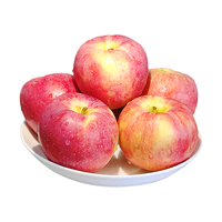 京觅陕西洛川红富士苹果12枚 170g+ 应当季新鲜水果生鲜 源头直发