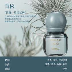 MINISO 名创优品 小灯泡风口车载香薰车内除异味高级香水香氛车用