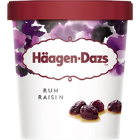 Häagen·Dazs 哈根达斯 葡萄干朗姆酒冰淇淋 392g