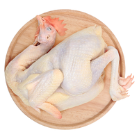 天农 农家土鸡 1kg