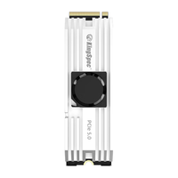 KingSpec 金胜维 1000GB 固态硬盘NVMe M.2接口 2280 PCIe5.0 VP101系列