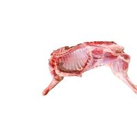 从前有只羊宁夏滩羊肉 新鲜羊肉半只原切生鲜羊腿羊排清炖烧烤清真食材 10斤半只分割