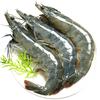 XYXT 虾有虾途 新鲜国产青岛大白虾 17-20厘米 4斤 超大号虾