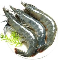 虾有虾途虾新鲜国产青岛大虾超大青虾基围虾鲜虾冷冻生鲜虾类白虾 15-18厘米【丨气冻无冰3斤】
