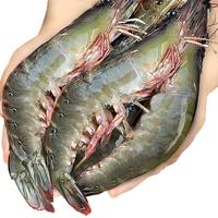 移动端、京东百亿补贴：东上御品 虾 超大虾 净重3斤