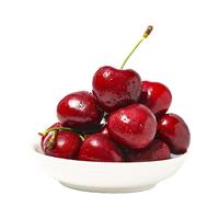 JOYVIO 佳沃 智利车厘子超级巨无霸 4J级 2.5kg礼盒装