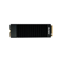 光威（Gloway）1TB SSD固态硬盘 M.2接口(NVMe协议) PCIe 5.0 独立缓存 神策PRO系列