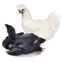 温润 岭南乌鸡 整鸡 1kg