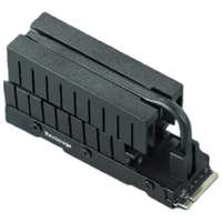 Nextorage 读速高达11700MB/s SSD固态硬盘 散热片 1TB
