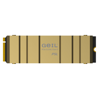 GeIL 金邦 1TB SSD固态硬盘 M.2接口(PCIe 5.0 x4)NVMe