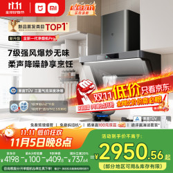 MIJIA 米家 小米净烟机Pro抽吸油烟机烟灶套装上门安装家用大吸力PM2.5监测侧吸1级能效灶具套装MJ04C