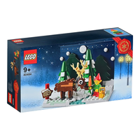 LEGO 乐高 Creator创意百变高手系列 40484 圣诞老人的前院