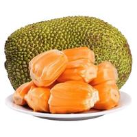 闽农语果四川大凉山丑苹果当季现摘新鲜时令苹果现摘现发水果苹果 5斤【单果65mm+】净重4.5斤 【产地直发-不打蜡】