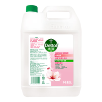 Dettol/滴露 抑菌99.99% 洗手液 花香型 5L