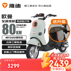 雅迪 欧曼 电动自行车 48V24Ah 绿粉