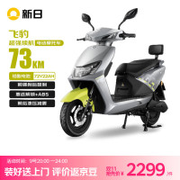 京东百亿补贴：新日 飞豹 电动摩托车 72V22Ah 金属哑灰