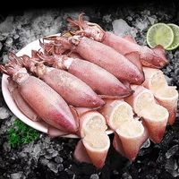 新鲜海兔 籽乌500g袋（一件批发价）