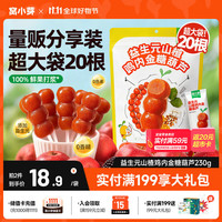 窝小芽 山楂鸡内金糖葫芦宝宝儿童零食山楂糖葫芦棒棒糖(20支)230g/袋