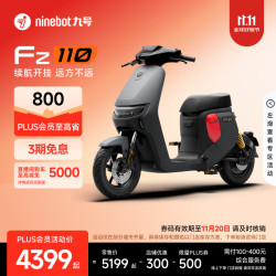 九号 Fz 110 电动自行车 到门店选颜色