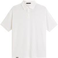 太平鸟男装polo衫翻领短袖夏季休闲质感简约通勤 白色(合体) XL