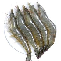 尚致厄瓜多尔白虾王牌大虾鲜活盐冻对虾超大基围虾生鲜虾 【20-30大虾】 3斤(净重)  19-22cm 【20-30大虾】 3斤(净重)  18-21cm