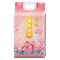 稻可道 香稻贡米 5kg 当季新米 东北大米 十斤