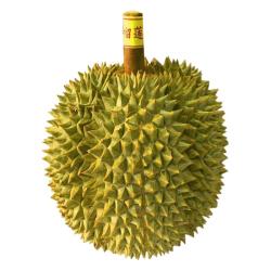 雪束 新鲜当季 泰国金枕榴莲  2kg（保4房）