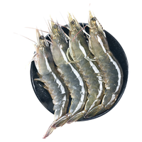渔游记青岛大虾气冻虾基围虾鲜活青虾白虾海虾对虾2kg