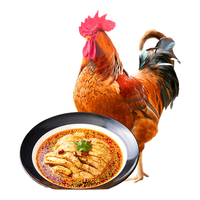 WENS 温氏 农养大公鸡 1.4kg