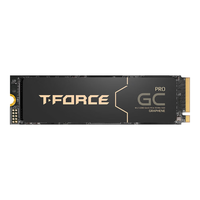 十铨科技GC Pro SSD固态硬盘2TB M.2 NVMe PCIe5.0 2280 读速12500MB/s 石墨烯散热片 2G独立缓存 锁定主控 【TLC】2TB PCIe5.0 石墨烯散热片