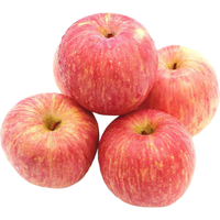 京鲜生 陕西洛川红富士苹果 净重2.5kg 单果170g 新鲜水果礼盒 源头直发 精选5斤礼盒 单果170克起
