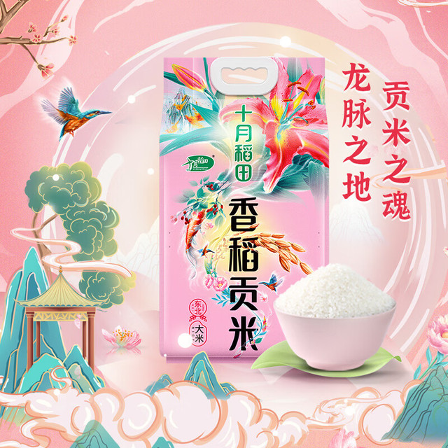 PLUS会员：十月稻田 SHI YUE DAO TIAN 香稻贡米 5kg
