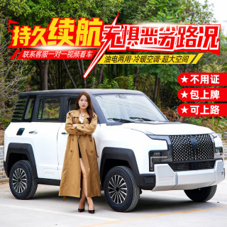 法狮龙 Fsilon 仰望U8款四轮车电动车新能源油电两用家用老头乐成年人代步车 油电两用72V续航200公里