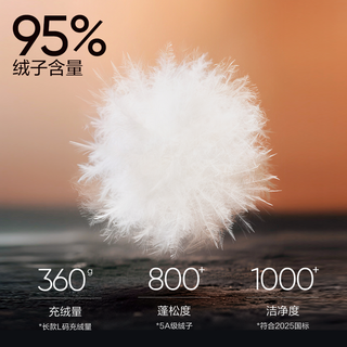 网易严选 焱系列95%白鹅绒连帽长款防水男士羽绒服