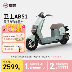 爱玛 卫士AB51 长续航电动自行车 TDR8106Z