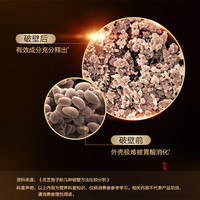 汤臣倍健无限能灵芝孢子粉增强免疫力破壁灵芝孢子油中老年探病术后滋补品 灵芝孢子粉胶囊40粒*4瓶