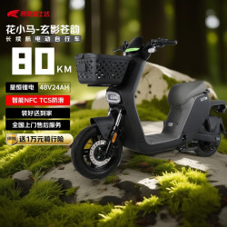 花小马 M11H 电动自行车 48v24ah 玄影苍韵