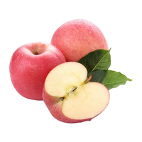 京觅 洛川苹果 单果180-220g 12粒