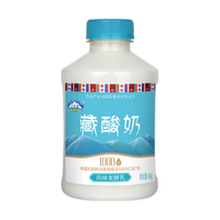 青海湖 藏酸奶450g  原味低温风味发酵乳  青藏高原鲜活菌 低温奶