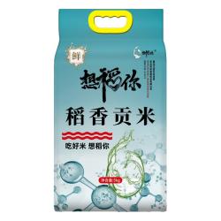 想稻你 稻香贡米水晶香米10斤东北大米粳米一级2024年原粮当季新米