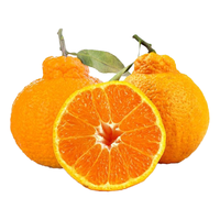 京鲜生 Mr.Seafood 不知火丑橘 单果果重220-280g 5kg