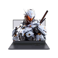 MECHREVO 机械革命 极光X 十三代酷睿版 16英寸 游戏本 灰色（酷睿i7-13700HX、RTX 5070 8G、32GB、1TB、2560*1600、180Hz）